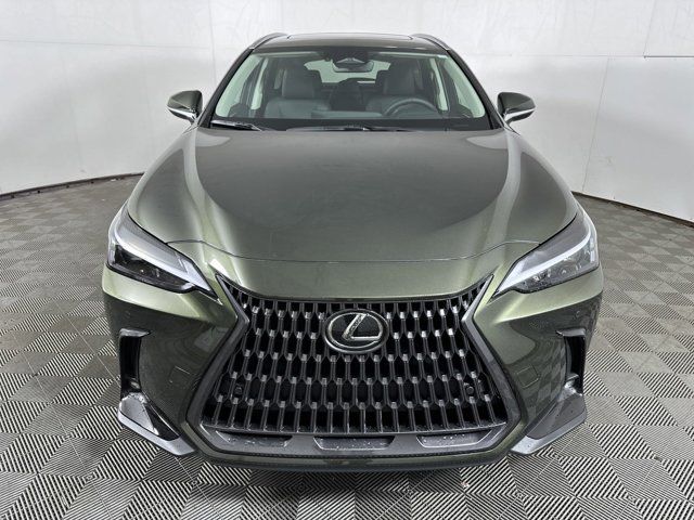 2025 Lexus NX 350 Premium