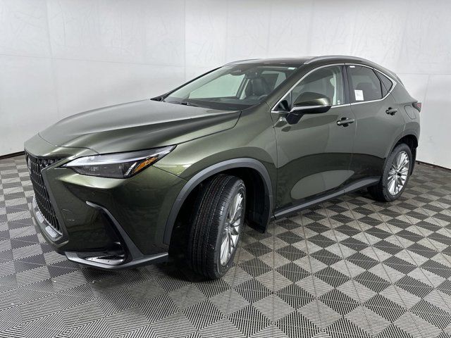 2025 Lexus NX 350 Premium