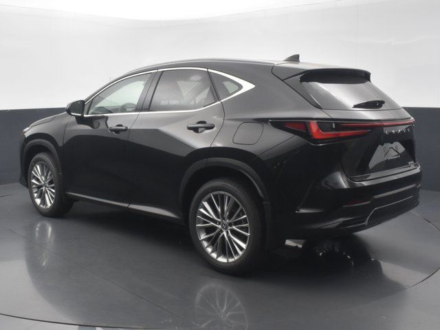 2025 Lexus NX 350 Premium