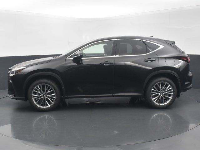 2025 Lexus NX 350 Premium