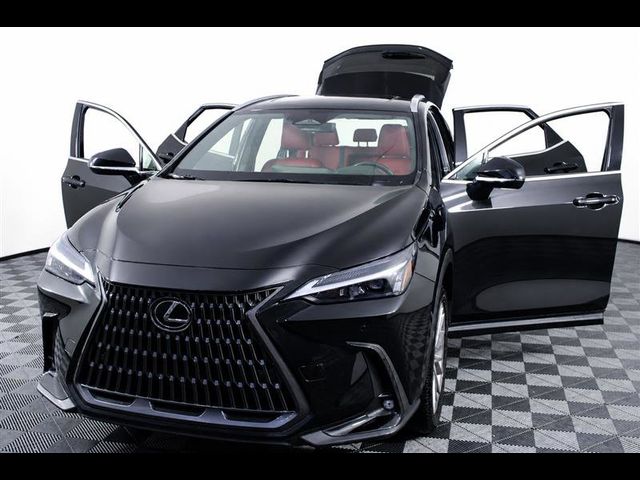 2025 Lexus NX 350 Premium