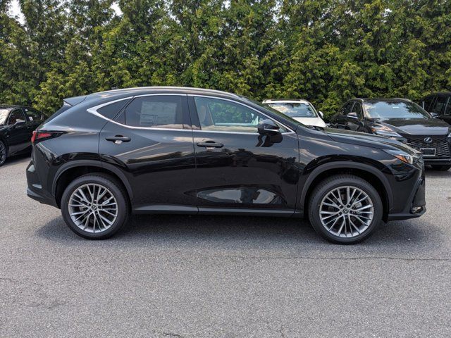 2025 Lexus NX 350 Premium