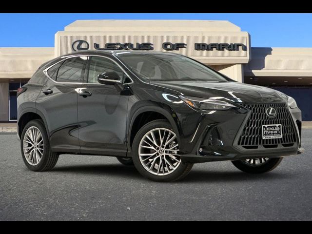 2025 Lexus NX 350 Premium