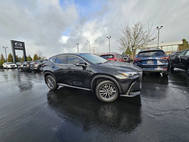 2025 Lexus NX 350 Premium