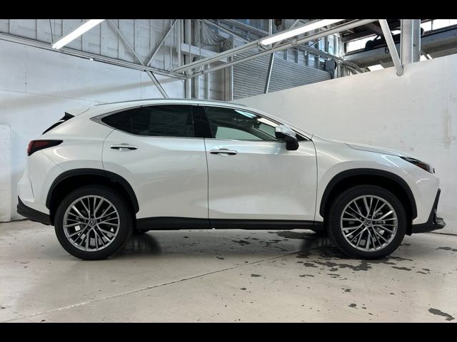 2025 Lexus NX 350 Premium