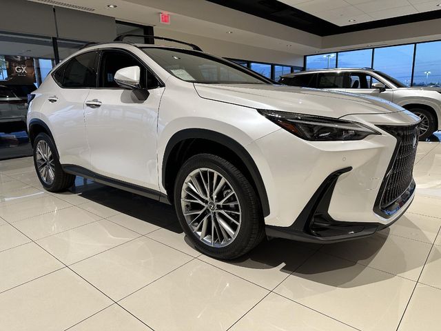 2025 Lexus NX 350 Premium