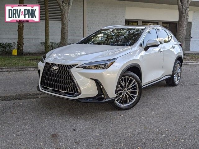 2025 Lexus NX 350 Premium