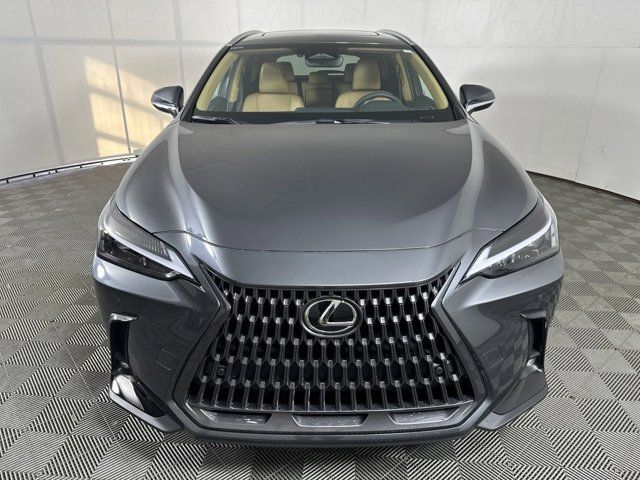 2025 Lexus NX 350h