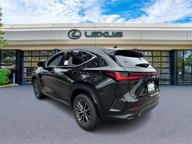 2025 Lexus NX 350h