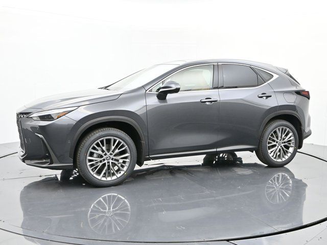 2025 Lexus NX 350h Luxury