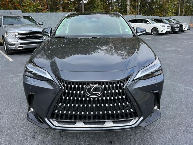 2025 Lexus NX 350h Luxury