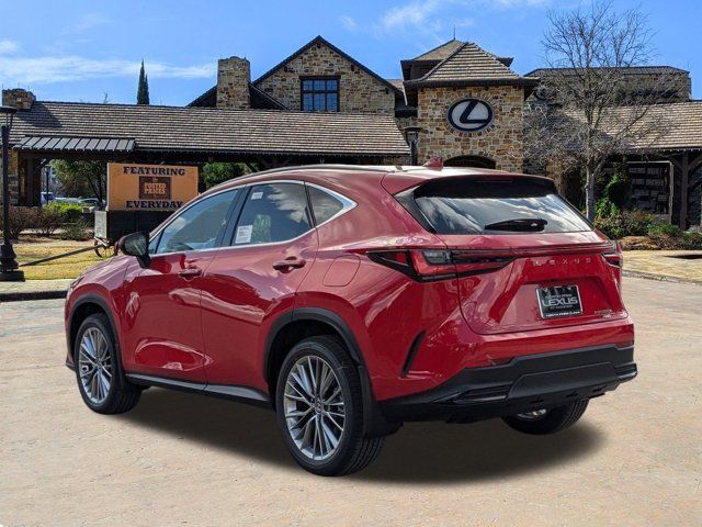 2025 Lexus NX 350h Luxury