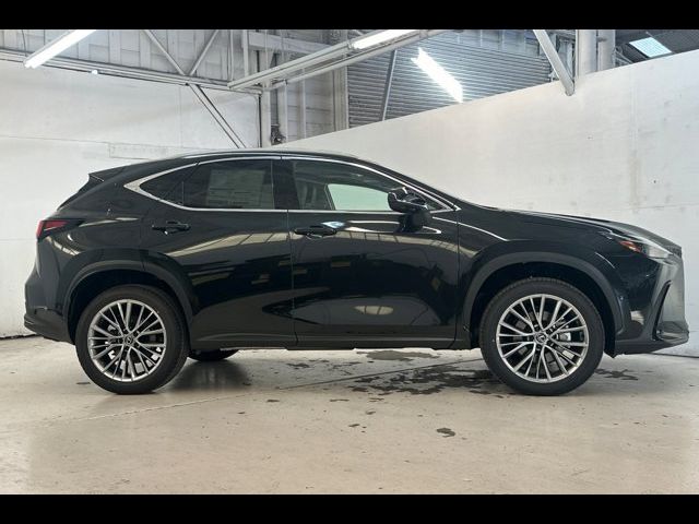 2025 Lexus NX 350h Luxury