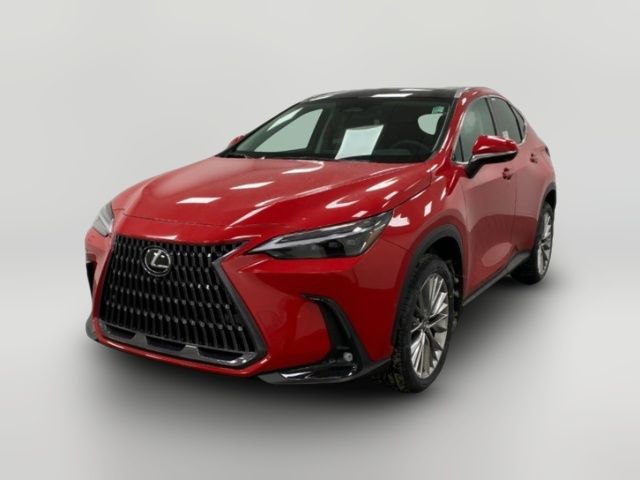 2025 Lexus NX 350h Luxury