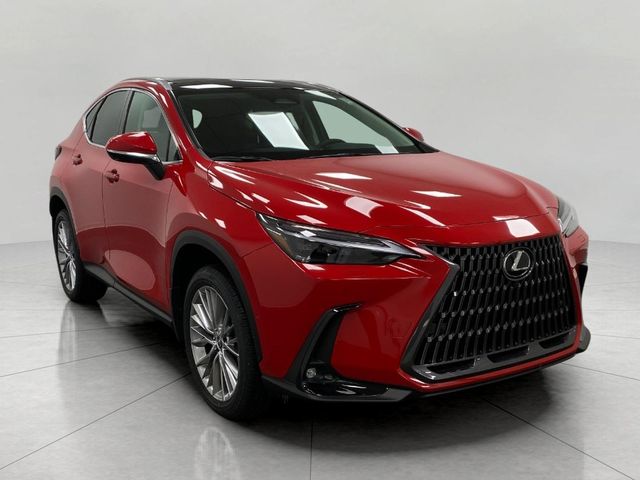 2025 Lexus NX 350h Luxury