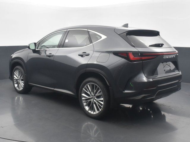 2025 Lexus NX 350h Premium