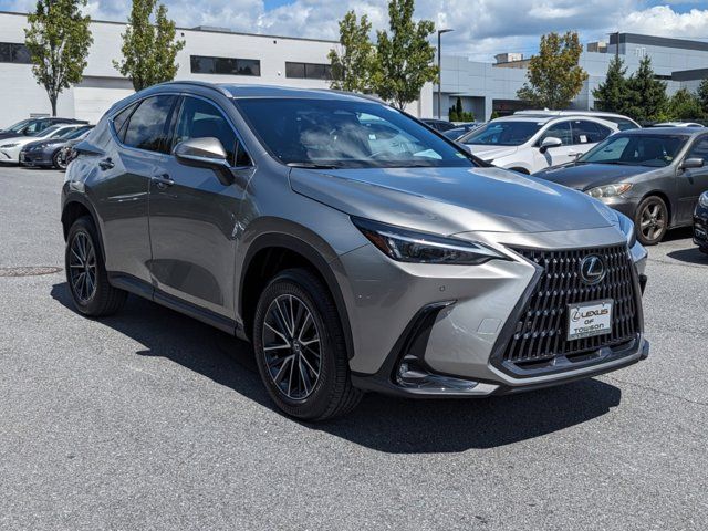 2025 Lexus NX 350h Premium