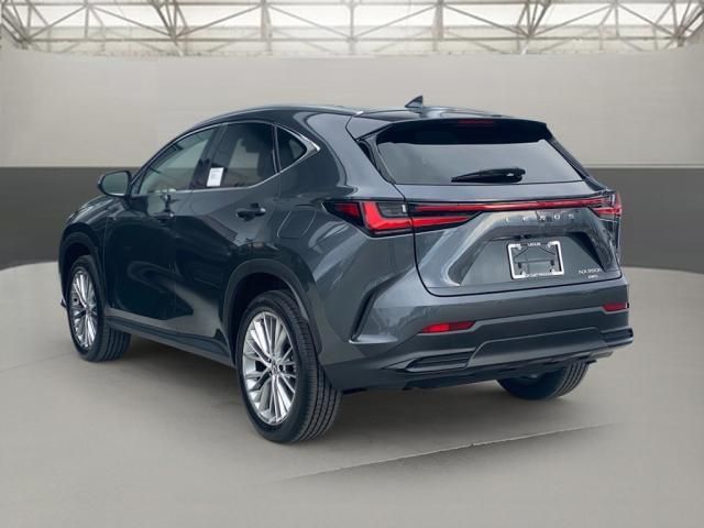 2025 Lexus NX 350h Premium