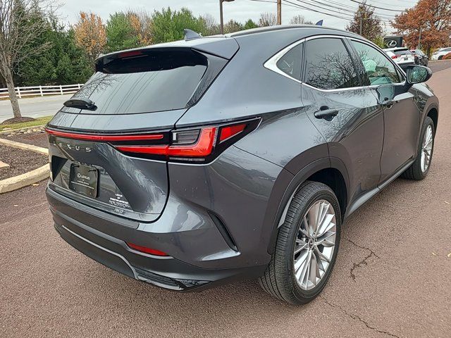 2025 Lexus NX 350h Premium