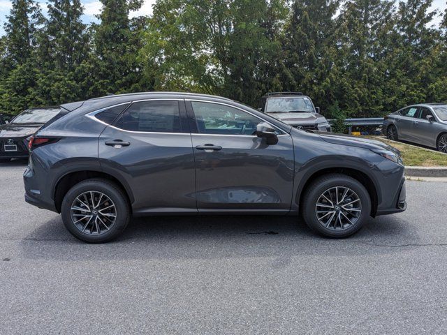 2025 Lexus NX 350h Premium