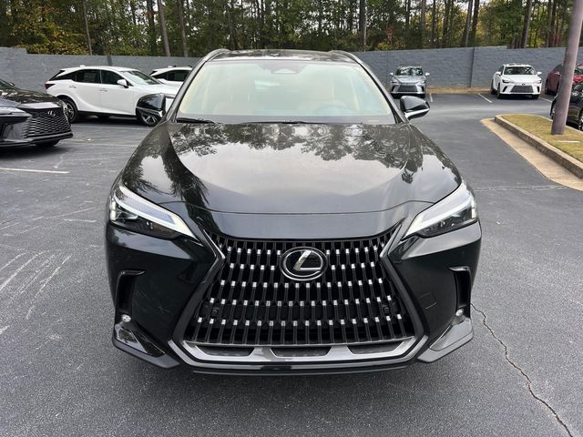 2025 Lexus NX 350h Premium