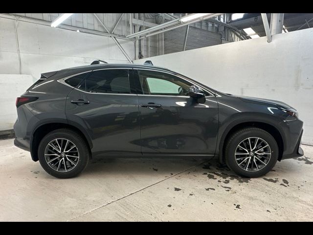 2025 Lexus NX 350h Premium