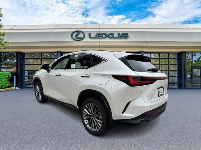 2025 Lexus NX 350h Premium