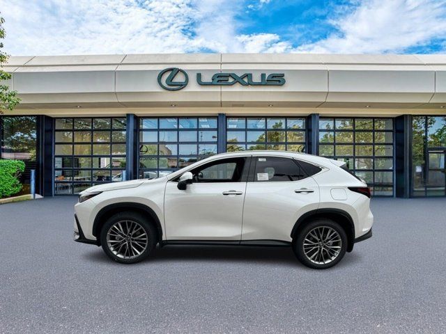 2025 Lexus NX 350h Premium