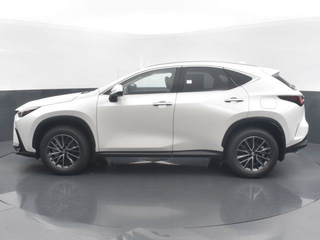 2025 Lexus NX 350h Premium