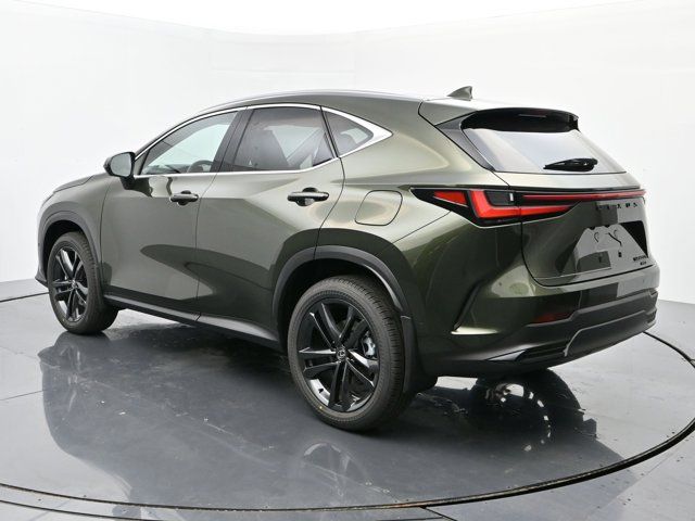 2025 Lexus NX 450h+ Luxury