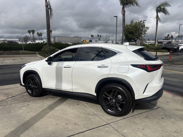 2025 Lexus NX 450h+ Luxury