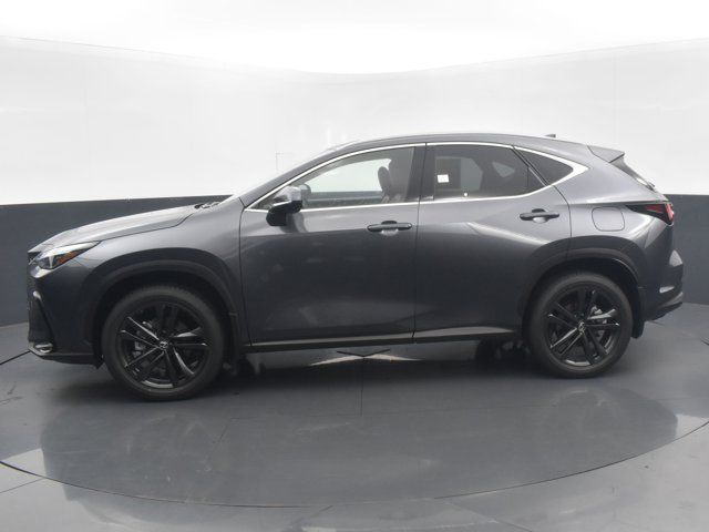 2025 Lexus NX 450h+ Luxury