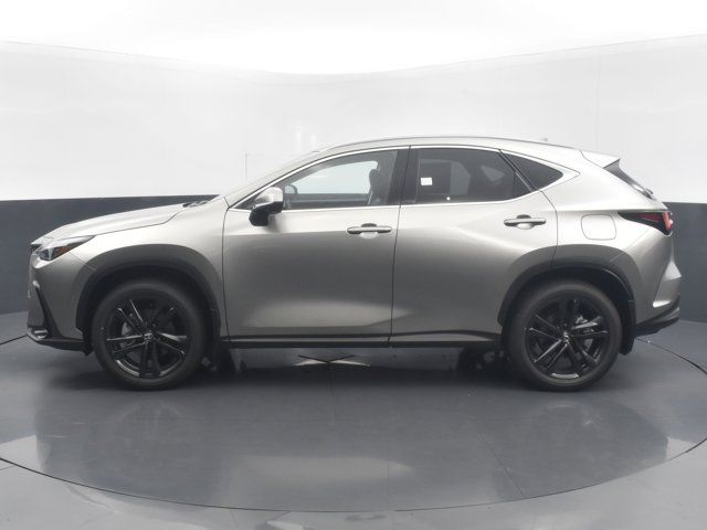 2025 Lexus NX 450h+ Luxury