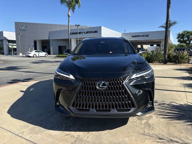 2025 Lexus NX 450h+ Luxury