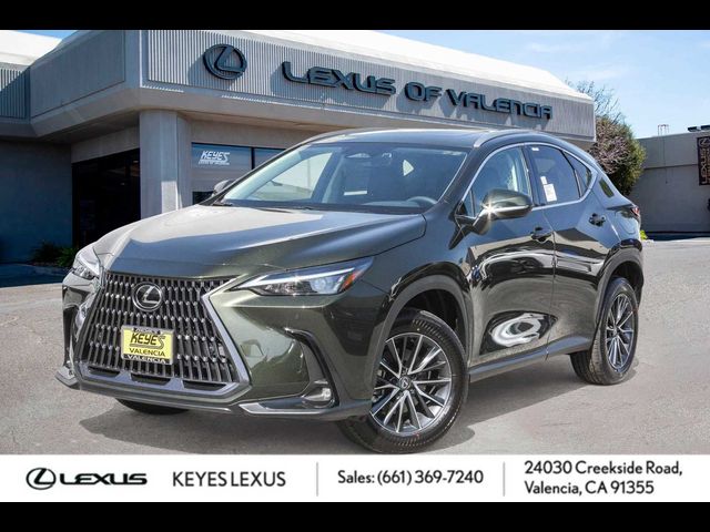 2025 Lexus NX 250 Premium