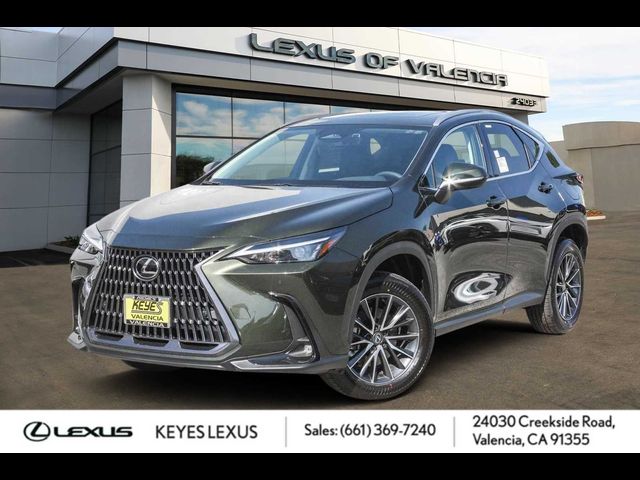 2025 Lexus NX 250 Premium