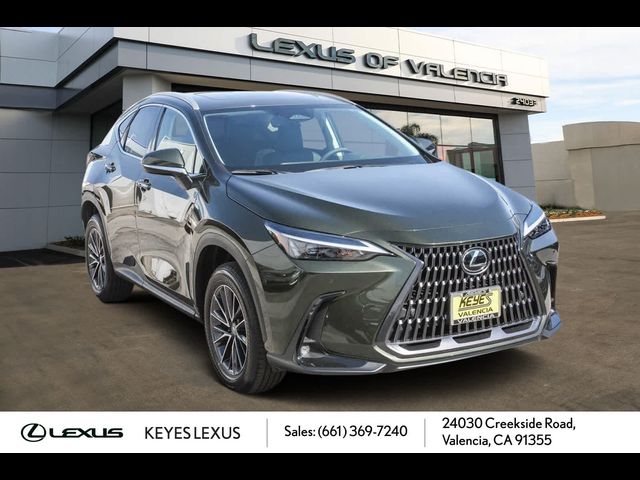 2025 Lexus NX 250 Premium