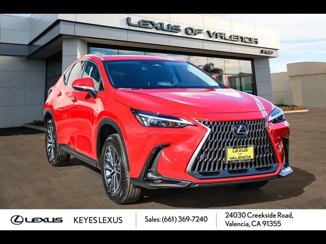 2025 Lexus NX 250 Premium