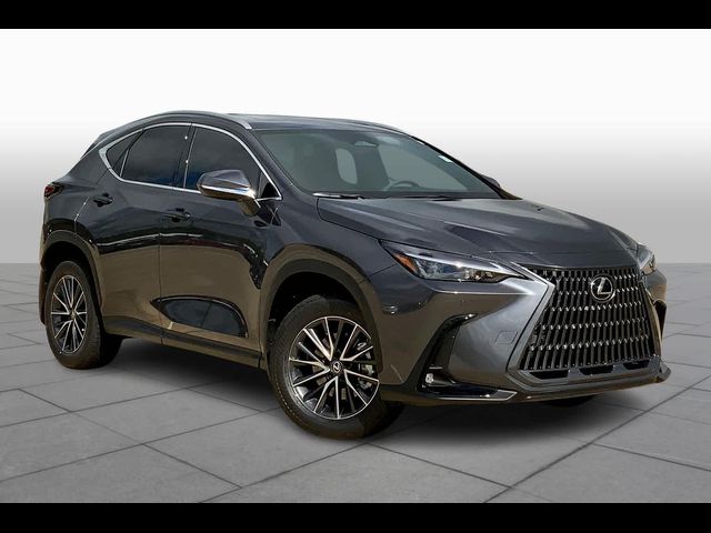 2025 Lexus NX 250 Premium