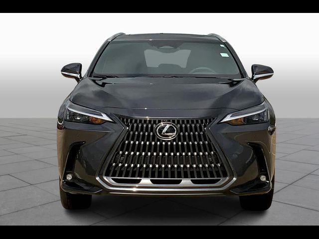 2025 Lexus NX 250 Premium