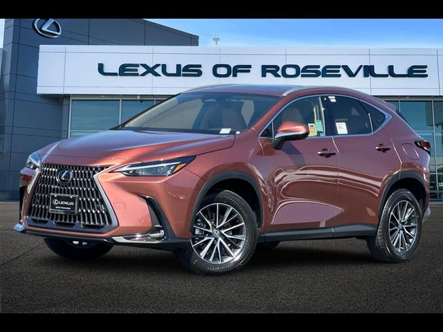 2025 Lexus NX 250 Premium