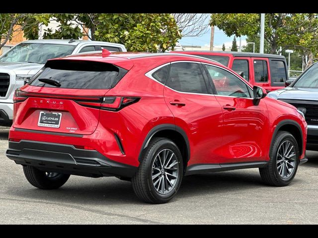 2025 Lexus NX 250 Premium