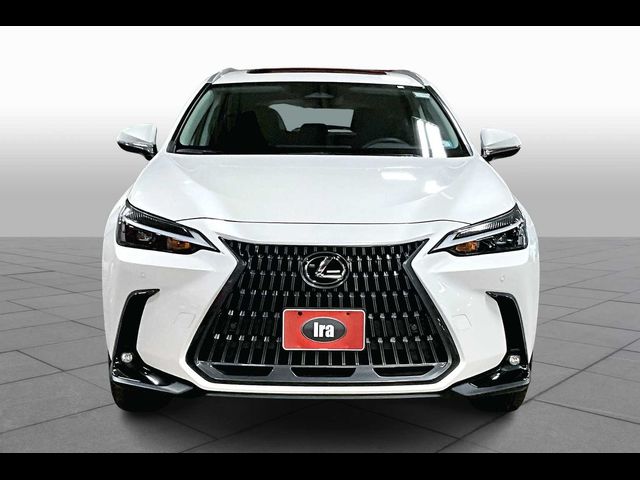 2025 Lexus NX 250 Premium