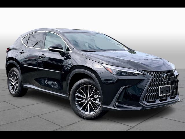 2025 Lexus NX 250 Premium