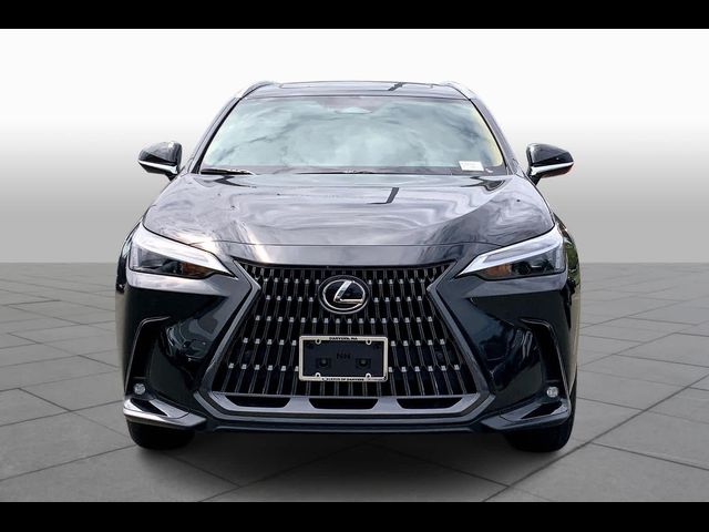 2025 Lexus NX 250 Premium