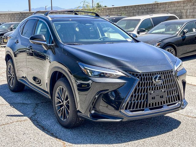 2025 Lexus NX 250 Premium