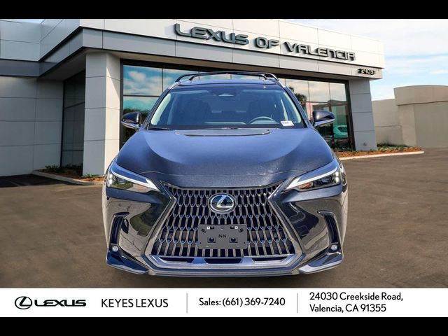 2025 Lexus NX 250 Premium