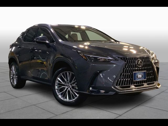 2025 Lexus NX 350 Premium