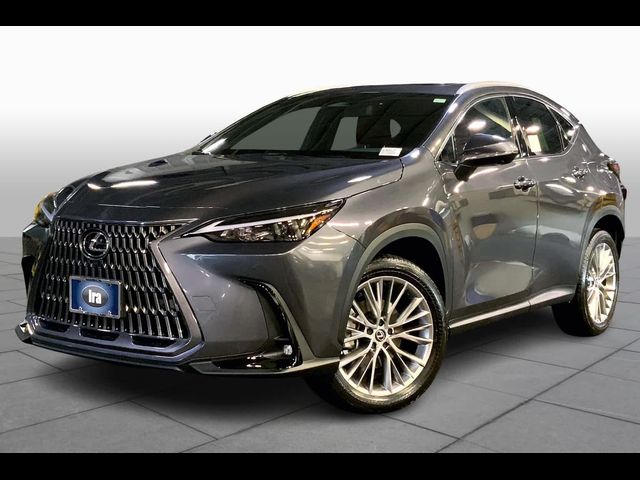 2025 Lexus NX 350 Premium