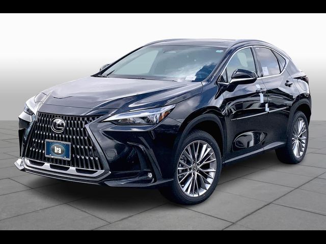 2025 Lexus NX 350 Premium